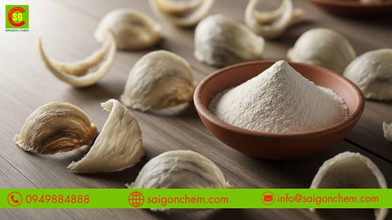 Xanthan Gum là được công nhận là phụ gia an toàn trong thực phẩm