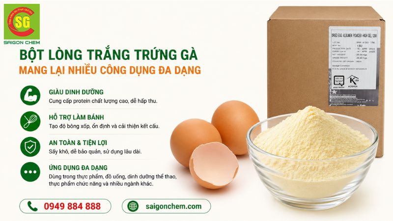 Bột lòng trắng trứng gà mang lại nhiều công dụng đa dạng